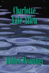 book cover for Hidden Meanings