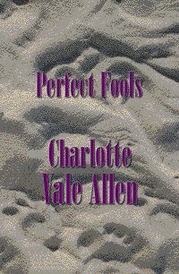 book cover for Perfect Fools