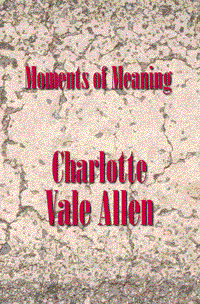 book cover for Moments of Meaning